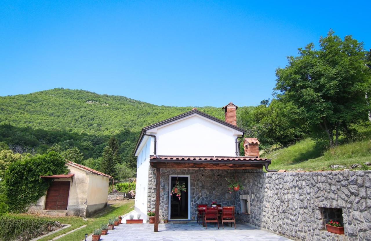 Guest House 'Villa Fani' Veprinac With Jacuzzi מראה חיצוני תמונה